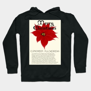 Red Poinsetta Genus Christmas Card Hoodie